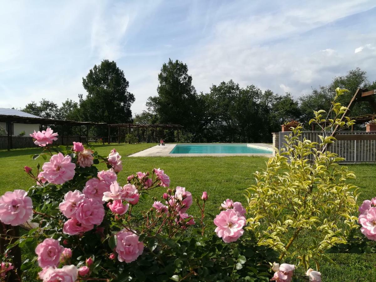 Pergine Valdarno Agriturismo Dimore Di Poggianto المظهر الخارجي الصورة